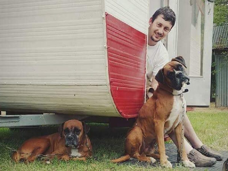 Sunnyfield News Mark