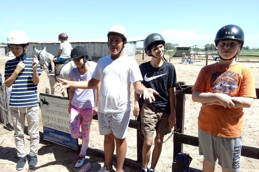 Sunnyfield School Holiday Horse Riding