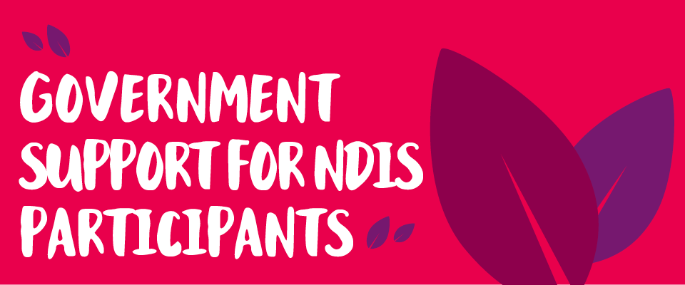 Government Support for NDIS Participants