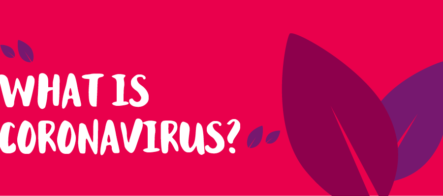 Sunnyfields What Is Coronavirus?
