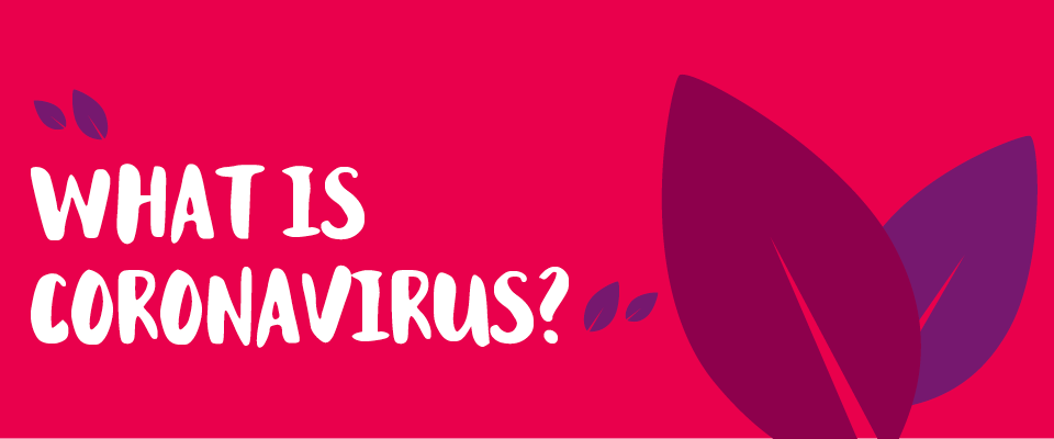 What is Coronavirus