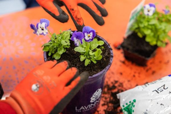 Sunnyfield-New-England-WEB-061