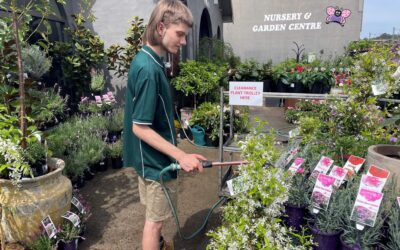 Connor’s Career Blossoms at Sunnyfield