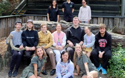 Wild About Learning: Reptile Park Work Experience