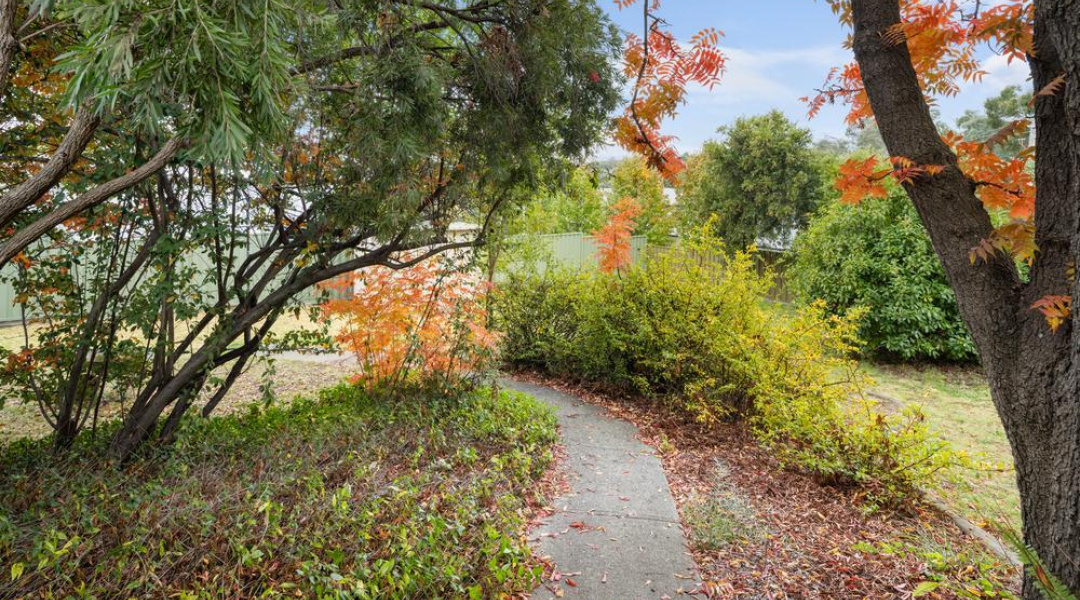 pathway leading to house