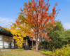Front of house - Greenery - 